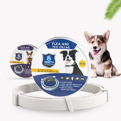 2b0ab3c2b523cb50a9e5a5e9c825277f