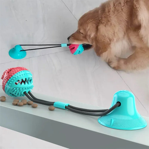 Suction Ball Toy