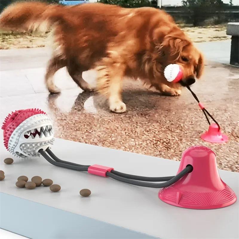 Suction Ball Toy