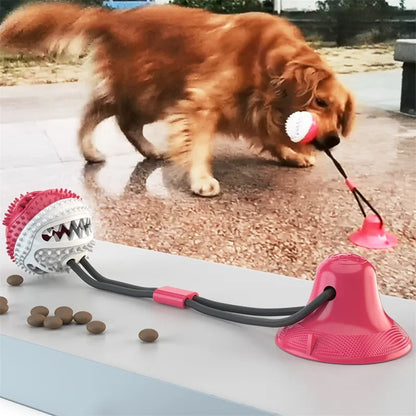 Suction Ball Toy