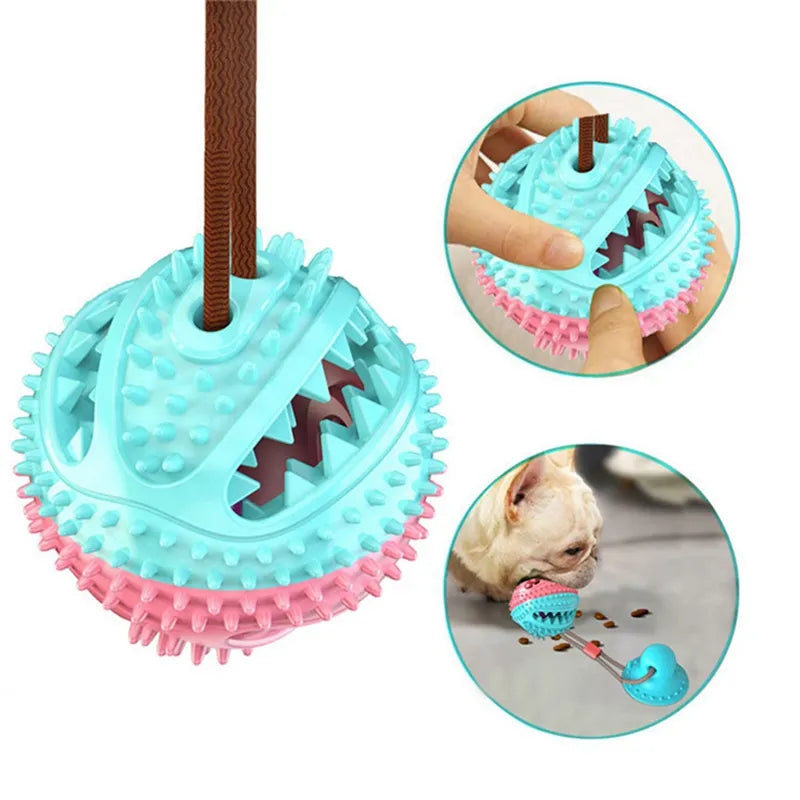 Suction Ball Toy